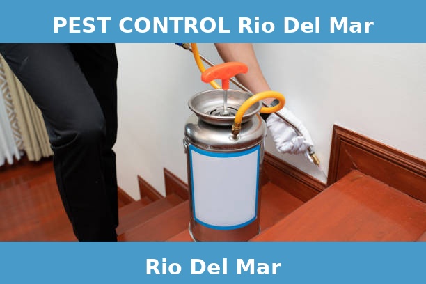 PEST CONTROL Rio Del Mar